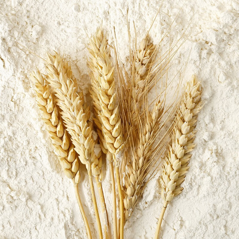 福花（熊猫系列）饺子专用麦芯小麦粉2.5kg 鲁花出品