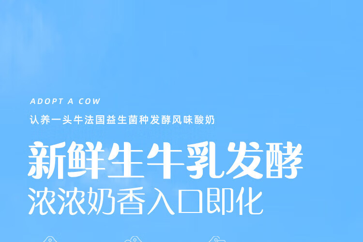 认养一头牛常温酸奶 员工福利 企业内购 原味法式酸奶200g*12盒*2提