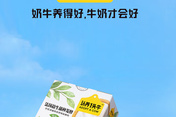 认养一头牛常温酸奶 员工福利 企业内购 原味法式酸奶200g*12盒*2提