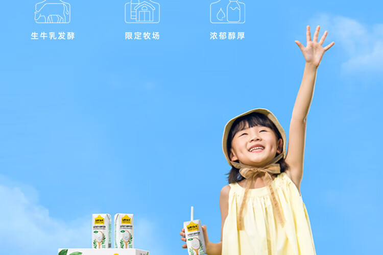 认养一头牛常温酸奶 员工福利 企业内购 原味法式酸奶200g*12盒*2提
