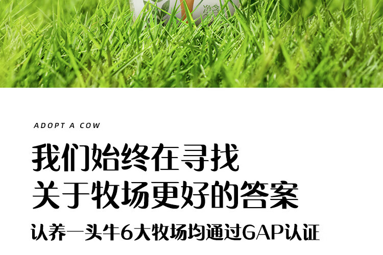 认养一头牛常温酸奶 员工福利 企业内购 原味法式酸奶200g*12盒*2提