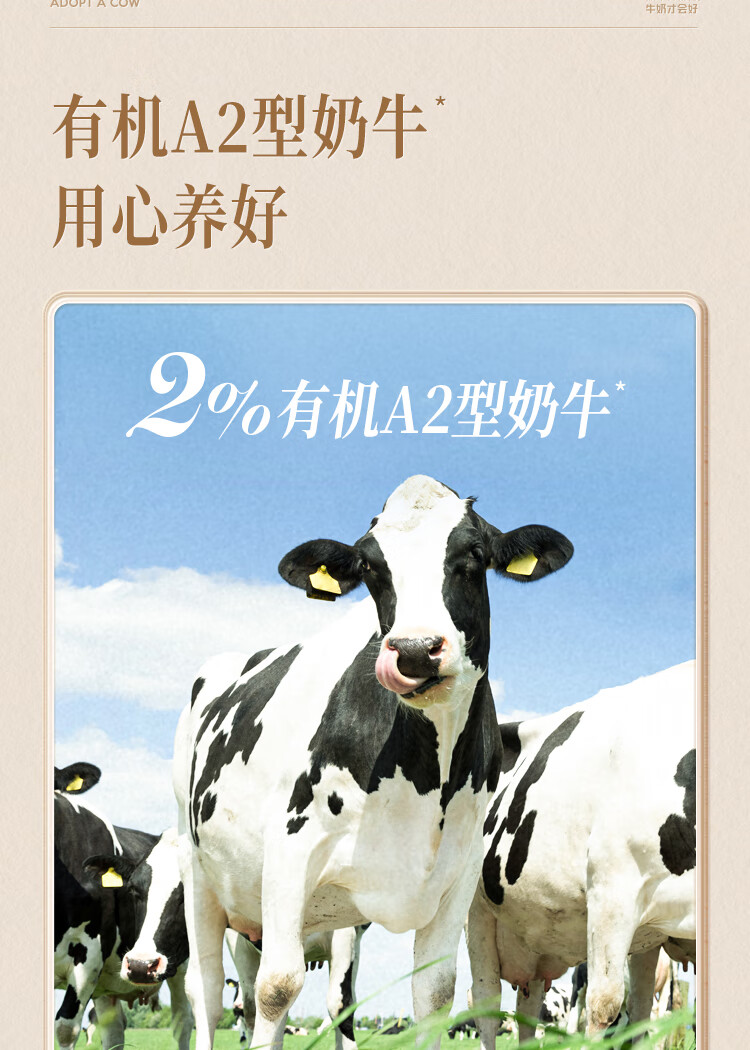认养一头牛A2β-酪蛋白有机纯牛奶250ml*10盒*2提