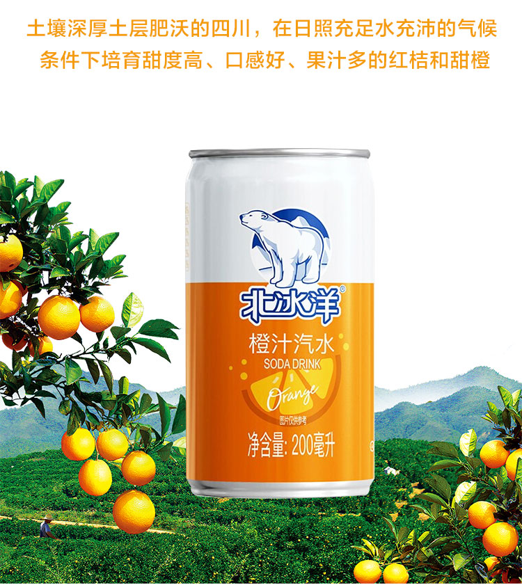 北冰洋果味汽水 碳酸饮料 橙汁汽水 200ml*24听