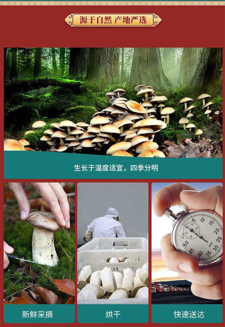 首粮 家用送礼南北干货 干菌食用大礼包 菌品吉祥干菌礼盒