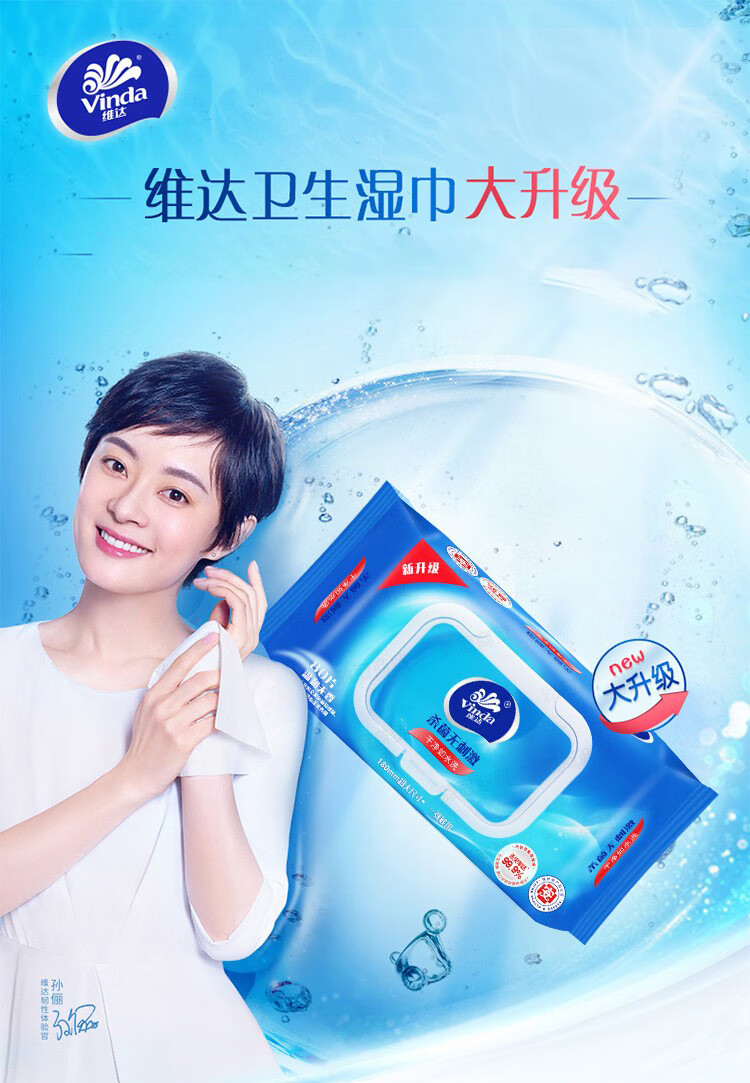 维达（Vinda）洁肤杀菌卫生湿纸巾 80片*12包 VW1028