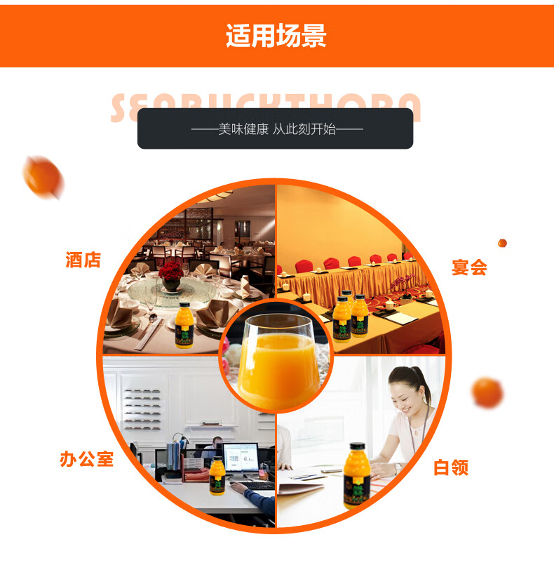 吕梁野山坡沙棘汁380ml 4瓶装