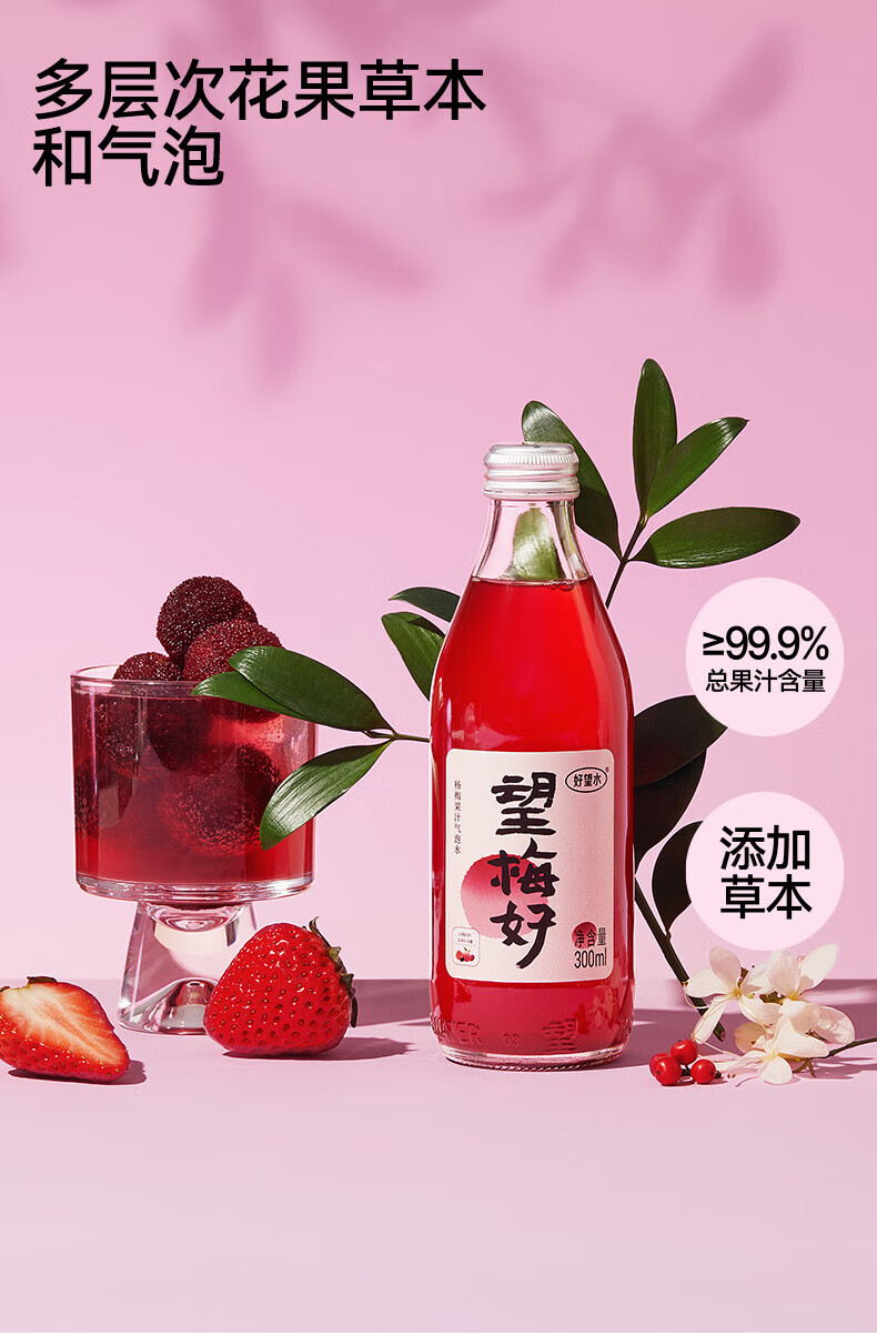 好望水 杨梅汽泡水无香精酸梅汤果汁饮料 望梅好 300ml*6瓶/箱