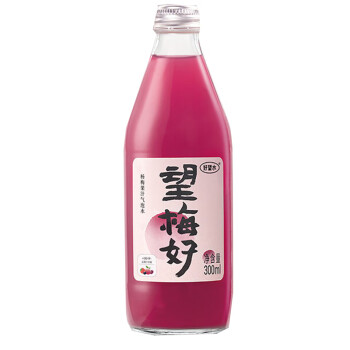 好望水 杨梅汽泡水无香精酸梅汤果汁饮料 望梅好 300ml*6瓶/箱