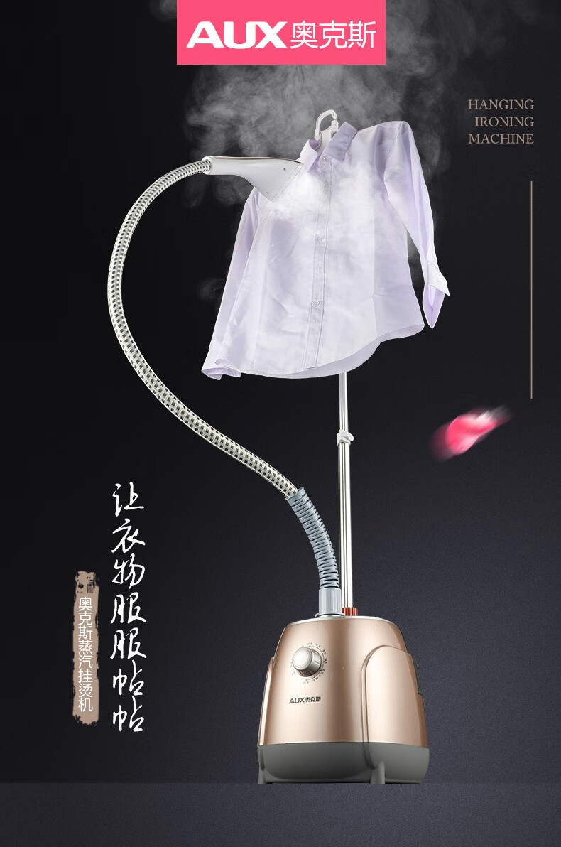 奥克斯（AUX） 大功率蒸汽挂烫机 烫衣服家用 蒸汽手持挂立式电熨斗熨烫机 AUX-ZR2190 金色