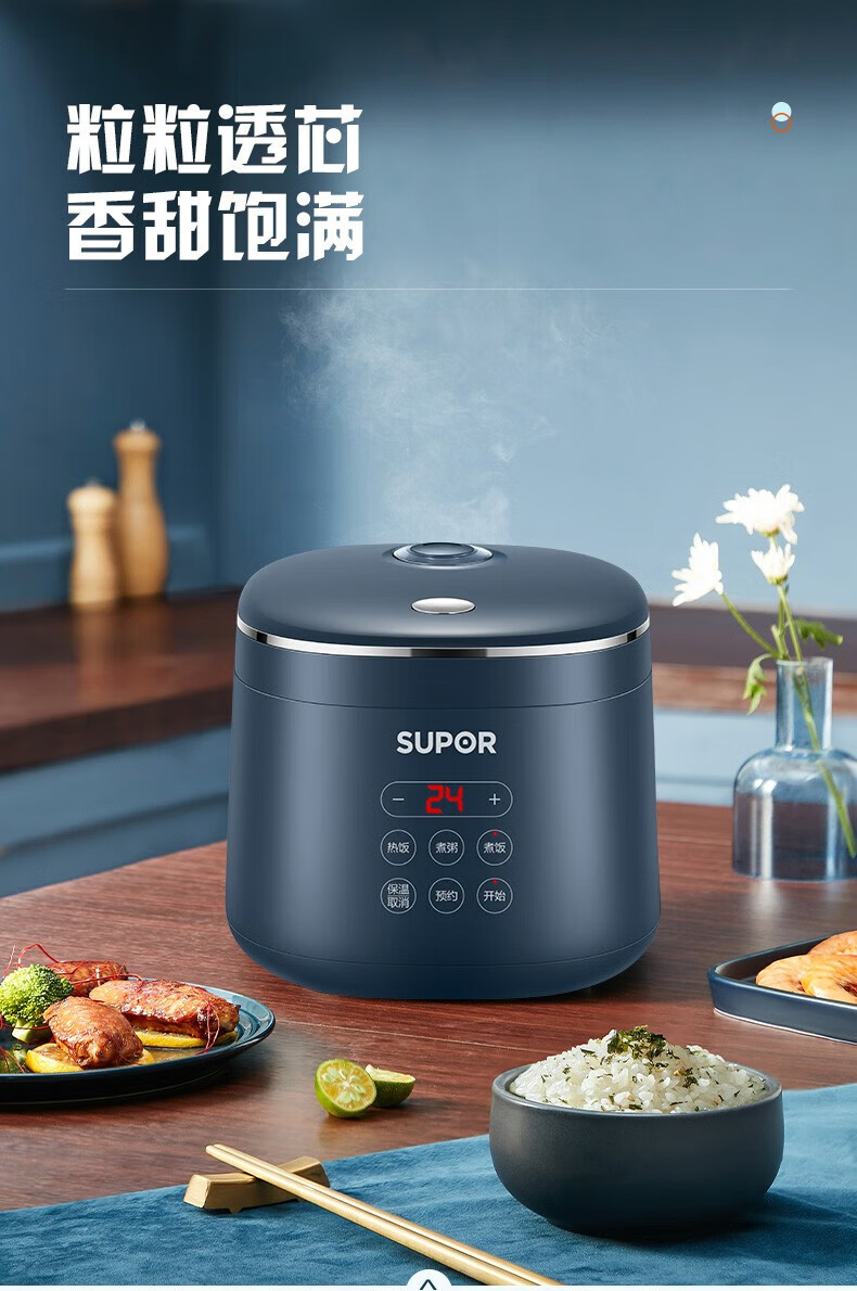 苏泊尔（SUPOR）电饭煲 2L智能迷你型 玲珑小电饭锅 智能预约小型便携1-3人电饭煲 SF20FC45