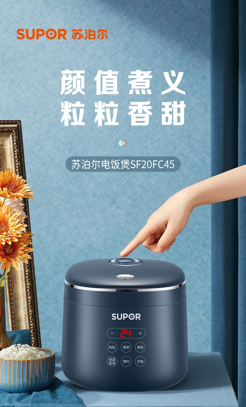 苏泊尔（SUPOR）电饭煲 2L智能迷你型 玲珑小电饭锅 智能预约小型便携1-3人电饭煲 SF20FC45