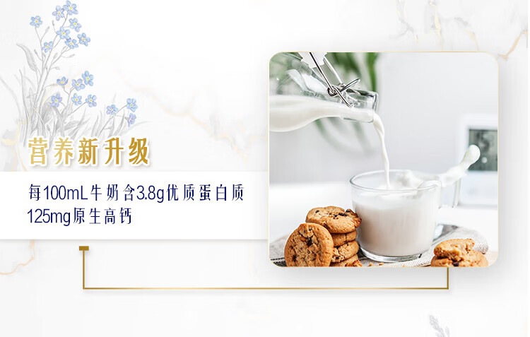 蒙牛营养早餐 特仑苏 纯牛奶梦幻盖250ml*10