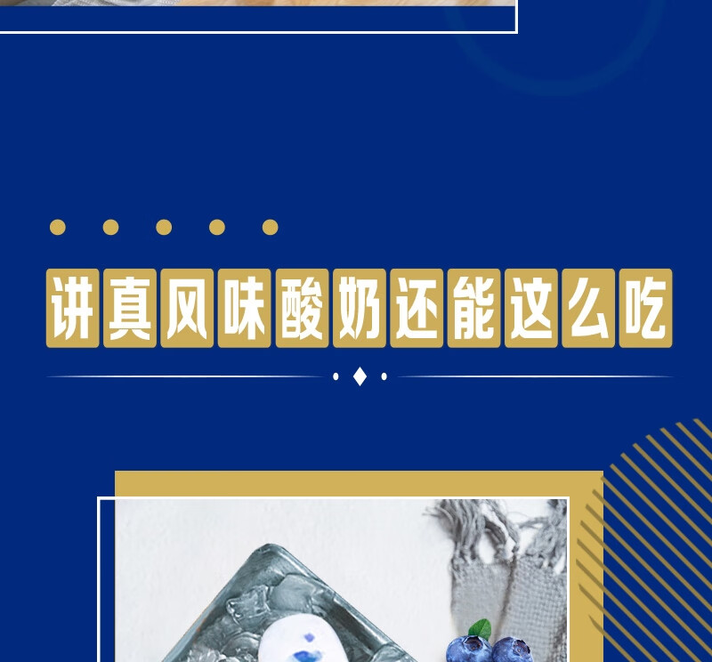 蒙牛营养早餐 纯甄蓝莓果粒风味酸奶笑脸包200g*10
