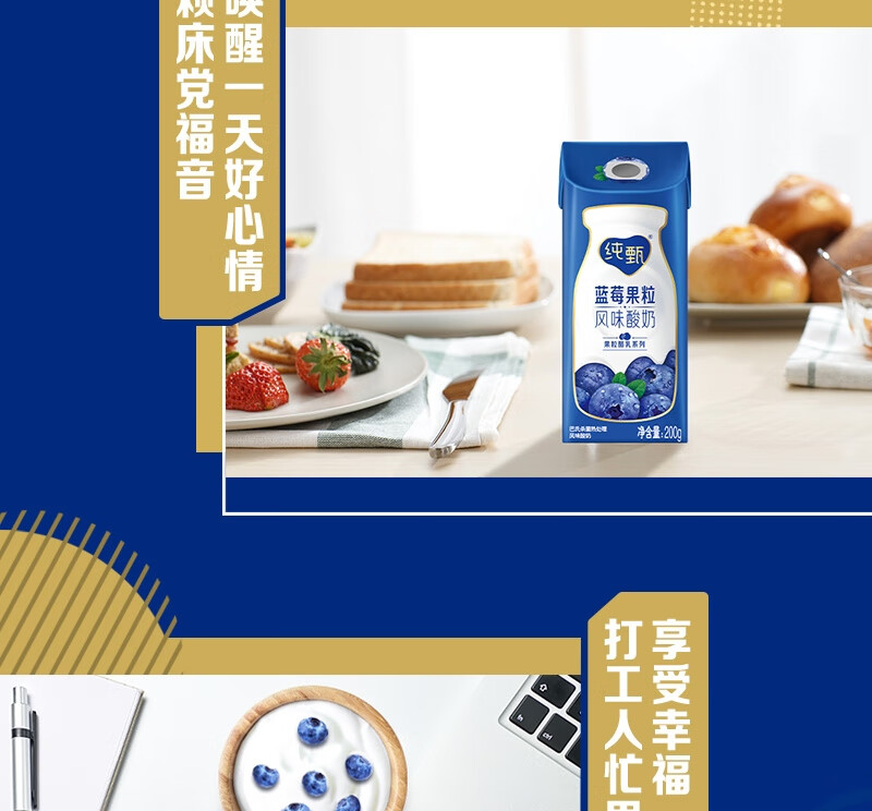 蒙牛营养早餐 纯甄蓝莓果粒风味酸奶笑脸包200g*10