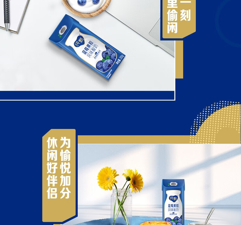 蒙牛营养早餐 纯甄蓝莓果粒风味酸奶笑脸包200g*10