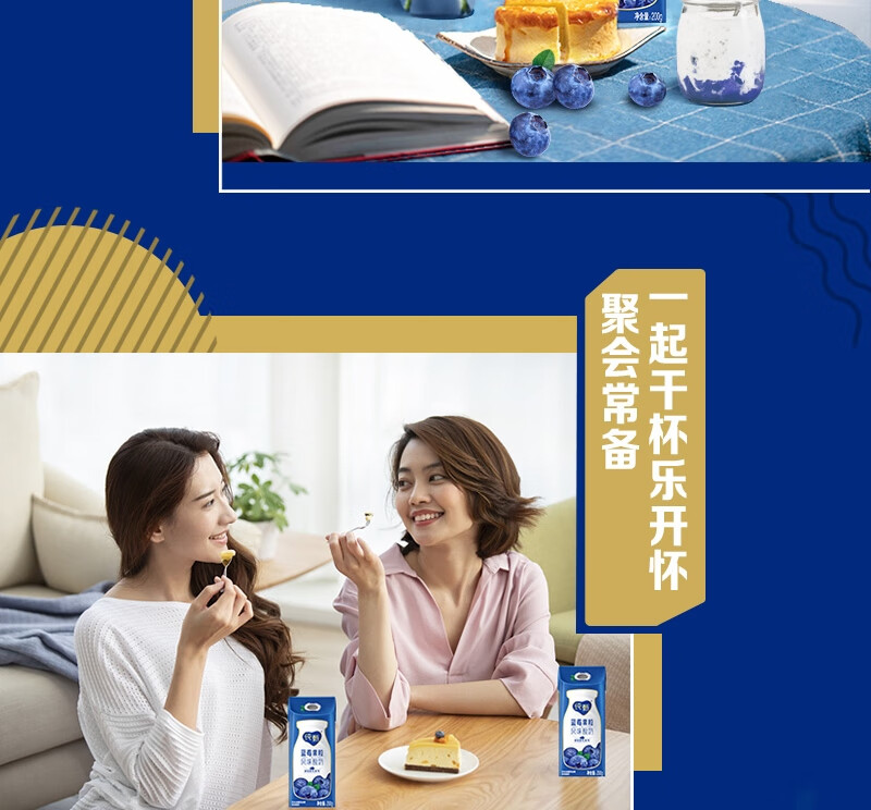 蒙牛营养早餐 纯甄蓝莓果粒风味酸奶笑脸包200g*10