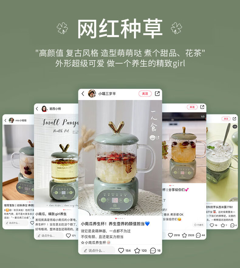 小南瓜 迷你养生壶办公室电炖杯 煮花茶壶烧水壶炖燕窝 养生杯 D1玻璃+陶瓷款