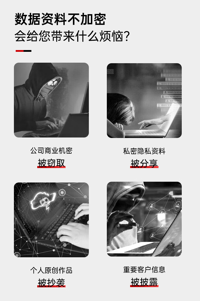 联想（Thinkplus）指纹加密 U盘 FU200 128GB 36005998