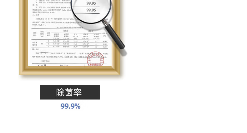 西屋（Westinghouse）空气净化消毒机家用紫外线杀菌除细菌 净化消毒Y-500 蓝色