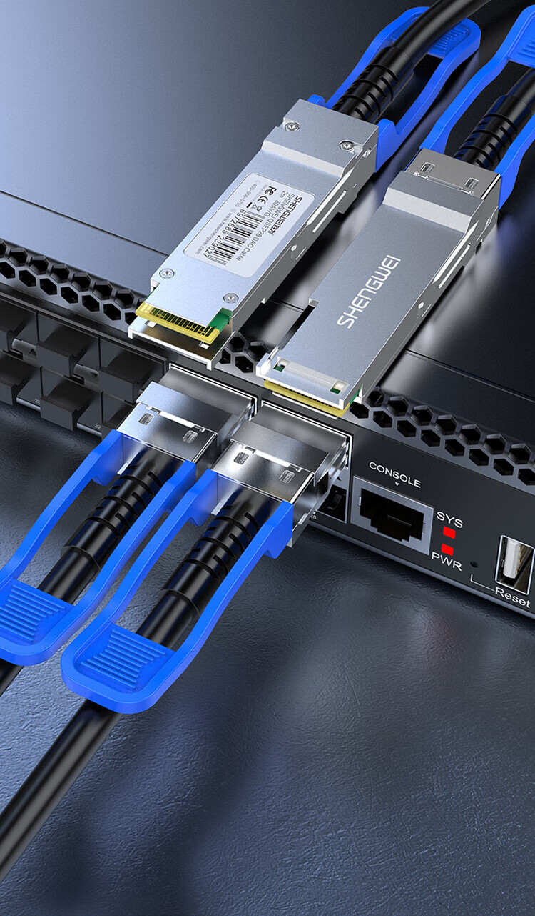 胜为（shengwei）万兆光模块高速电缆QSFP28 DAC堆叠线100G 支持华为思科H3C曙光浪潮中兴 5米 XDAC0504