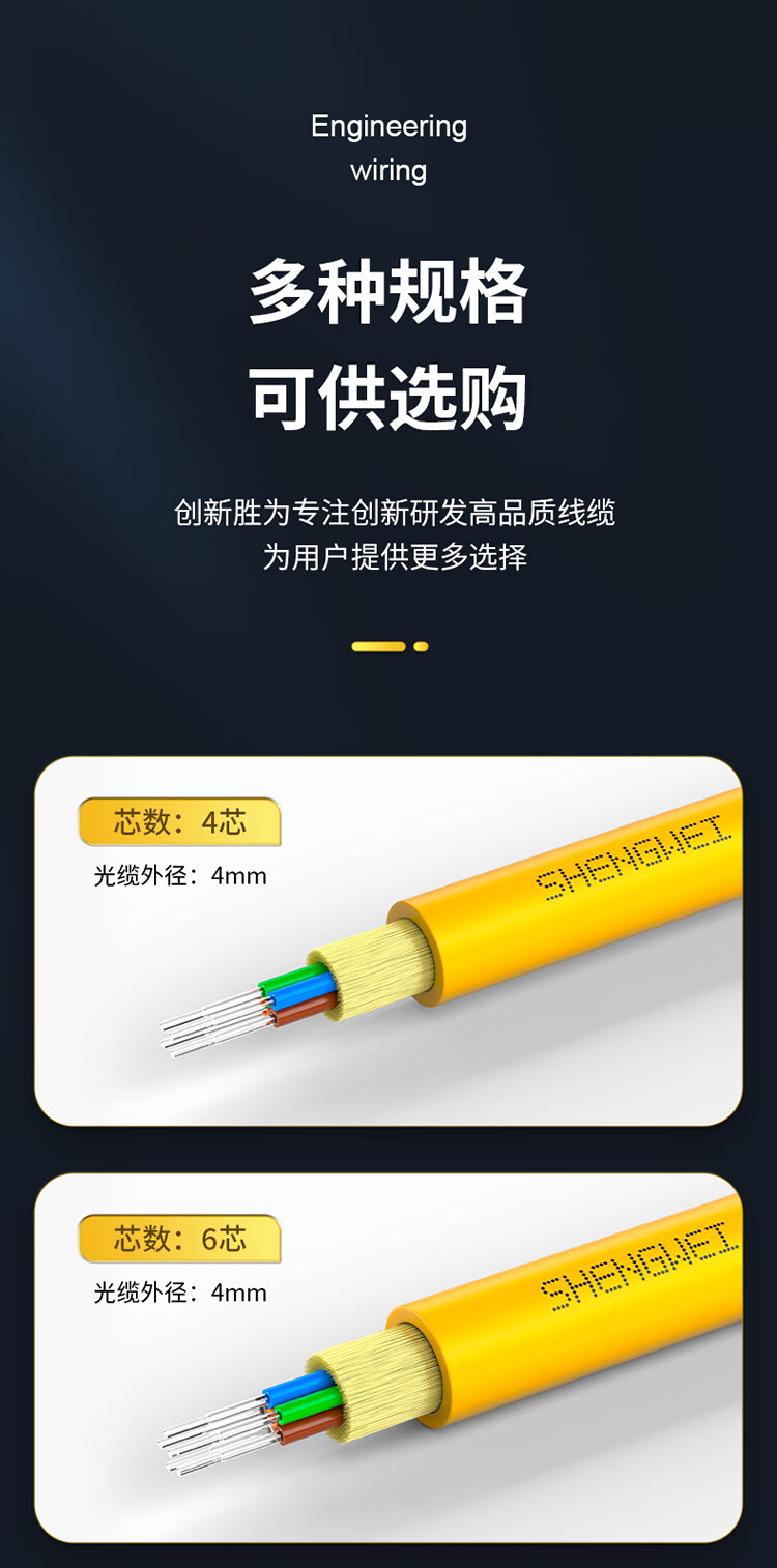 胜为（shengwei）12芯单模室内网线光纤线9/125 GJFJV/GJFJH低烟无卤束状软光缆 1000米BGJV121S
