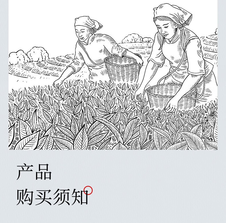 吴裕泰 中华老字号浓香六次窨制散茶盒装 送长辈散装口粮茶叶250g