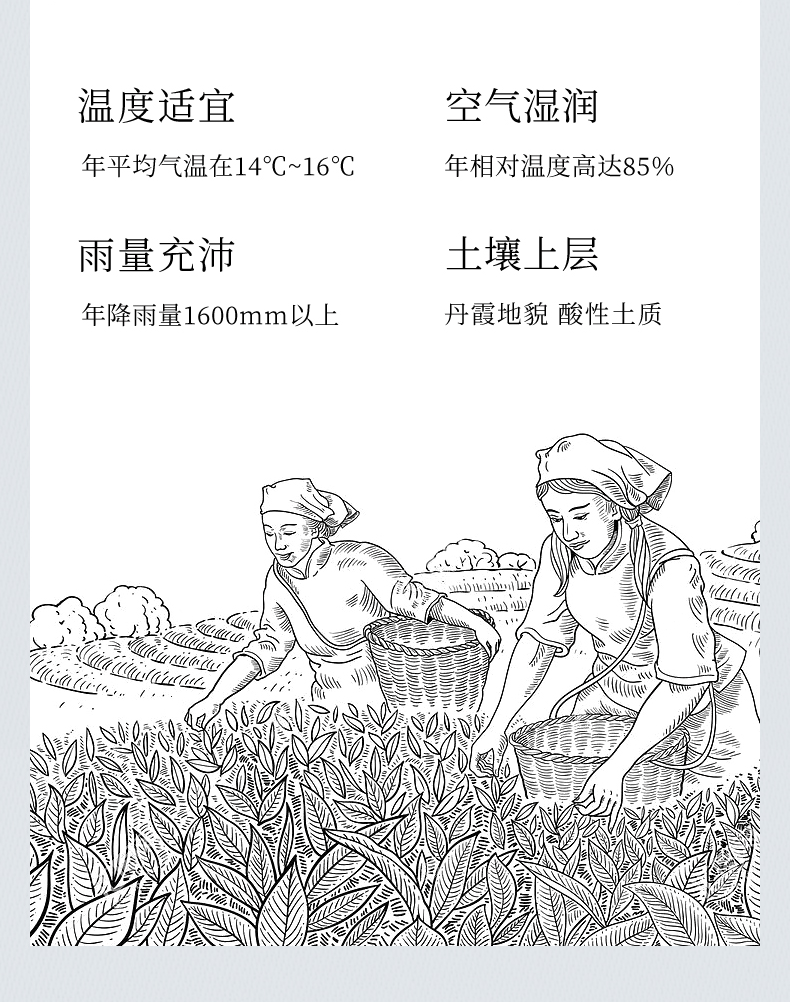 吴裕泰 金翠茉莉花茶盒装茶叶 办公用茶送礼送长辈特种 250g