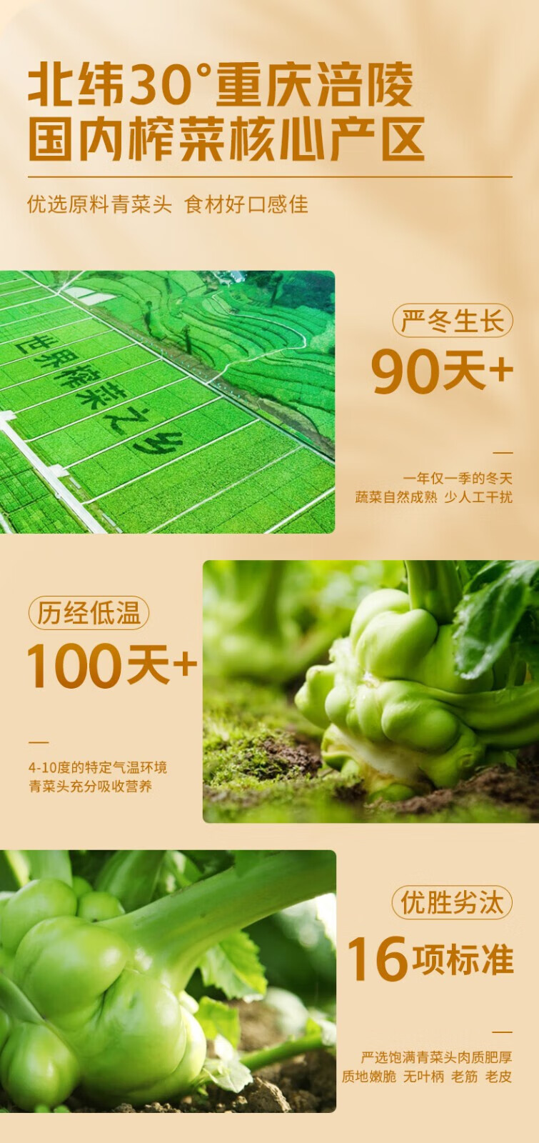 乌江 清爽鲜脆菜丝 不辣下饭菜清淡榨菜轻盐70g*10袋