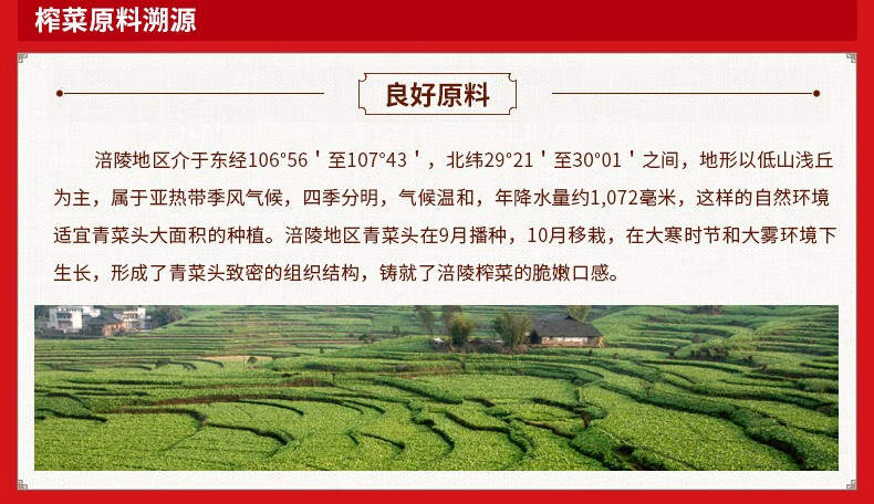 乌江 海带丝开味小菜香辣即食 野山椒味海带丝70g*10袋