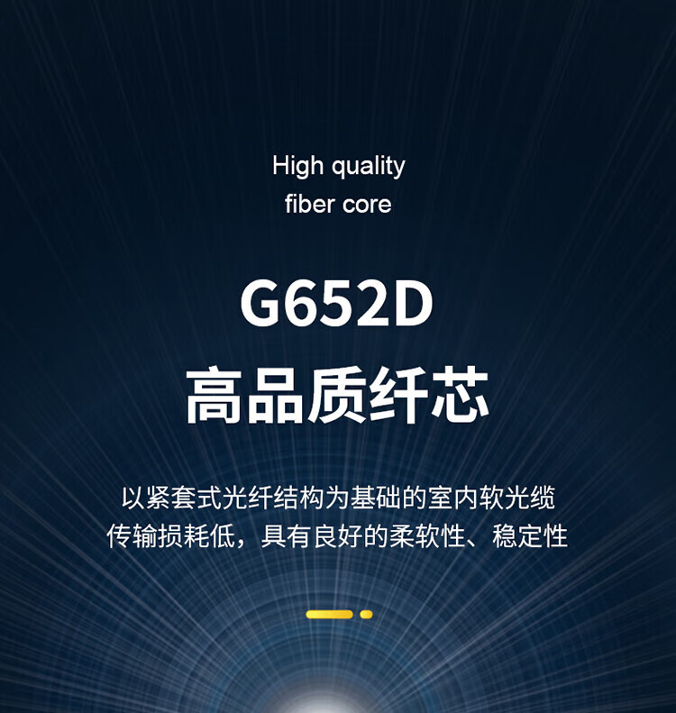 胜为（shengwei）4芯单模室内网线光纤线9/125 GJFJV/GJFJH低烟无卤束状软光缆 2000米BGJV042S