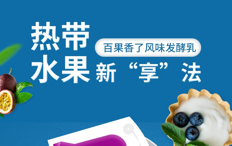天润（TERUN）新疆低温浓缩 风味调制乳冰袋冷藏 百香果酸奶 180g*12袋