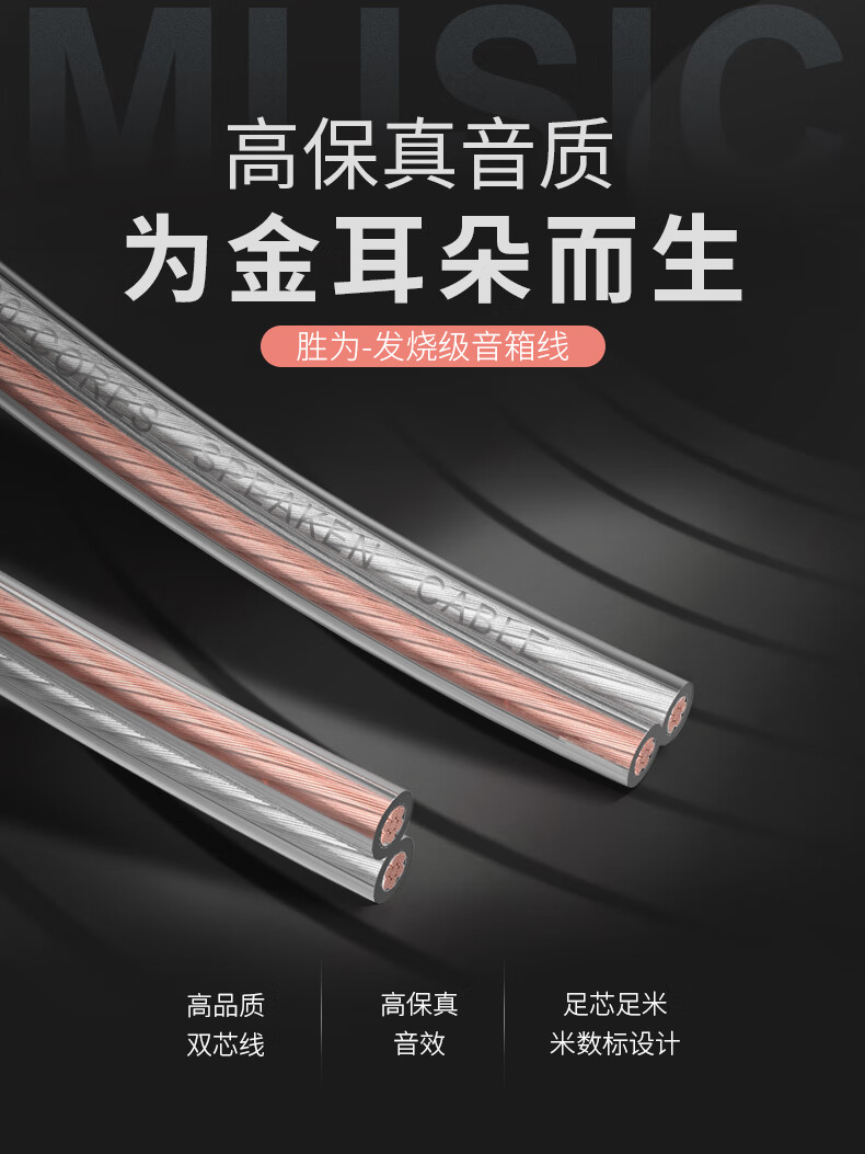胜为（shengwei）发烧级纯铜音箱线 2*100芯音响线喇叭线音频线 100米功放车载连接线 HIFI线材 AEC-1100