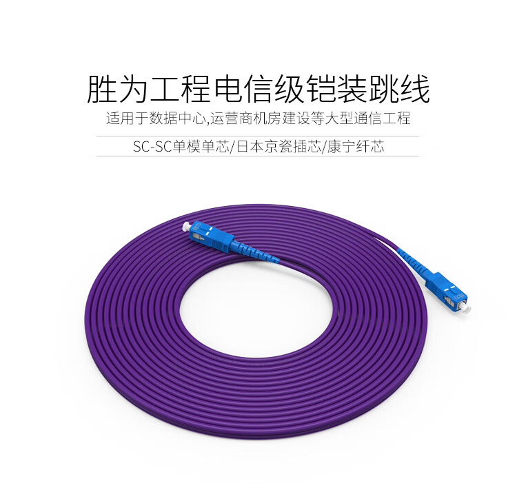 胜为（shengwei）SC-SC单模单芯3米 电信级铠装光纤跳线 抗压防鼠咬室内抗拉尾纤缆FSCK-1030