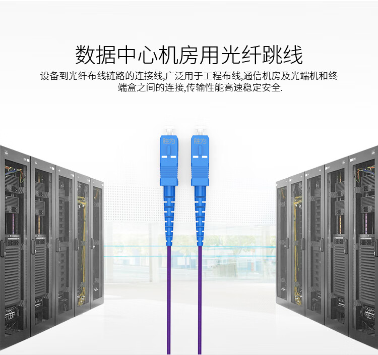 胜为（shengwei）SC-SC单模单芯3米 电信级铠装光纤跳线 抗压防鼠咬室内抗拉尾纤缆FSCK-1030