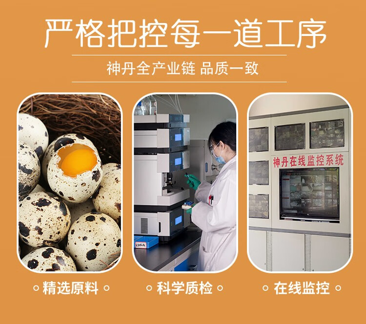 神丹 端午馋宝宝卤鹌鹑蛋 铁蛋 盐焗五香组合18袋礼盒