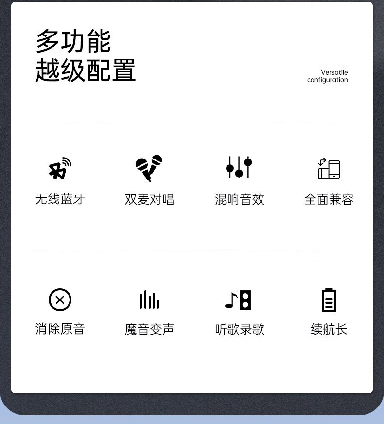 颐电 嗨歌唛克风 AD-3703