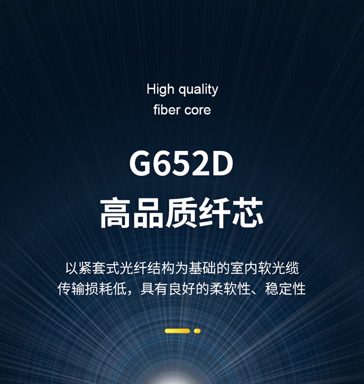 胜为（shengwei）8芯单模室内网线光纤线9/125 GJFJV/GJFJH低烟无卤束状软光缆 2000米BGJV082S