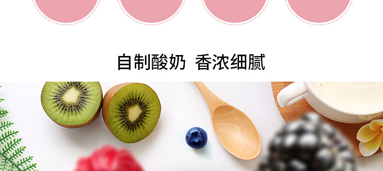 九阳（Joyoung）酸奶机 家用全自动小型酸奶机精准控温 SN-10J91