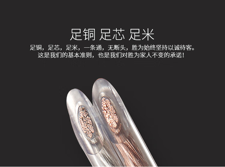 胜为（shengwei）喇叭音箱音频线音响线材发烧级HI-FI型连接线透明2*200芯 透明色2*200芯 50米 AEC-2050