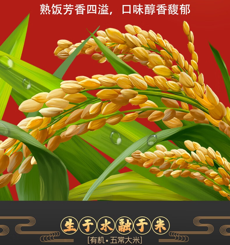 柴火大院财火大院 有机五常大米5kg