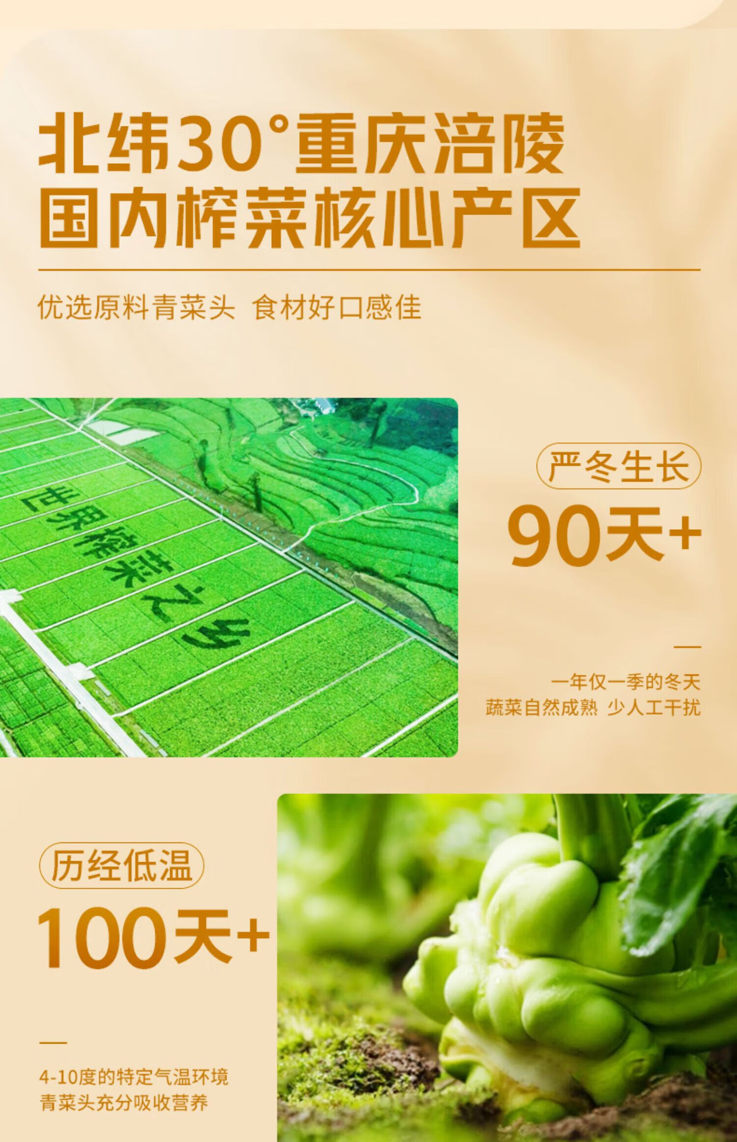 乌江 榨菜正宗重庆涪陵脆口榨菜清爽下饭菜红油榨菜丝 微辣榨菜80g*10