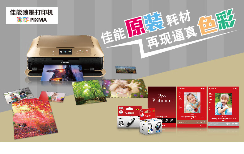 佳能（Canon）PGI-72R红色墨盒适用PRO-10
