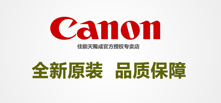 佳能（Canon）PGI-29Y黄色墨盒适用PRO-1