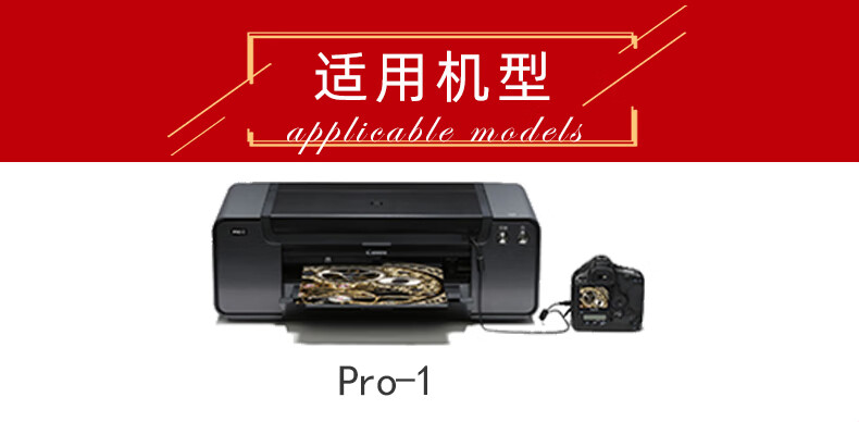 佳能（Canon）PGI-29 PM照片红色墨盒（适用PRO-1）