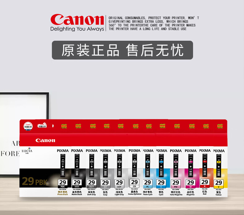 佳能（Canon）PGI-29PC照片青墨盒适用PRO-1