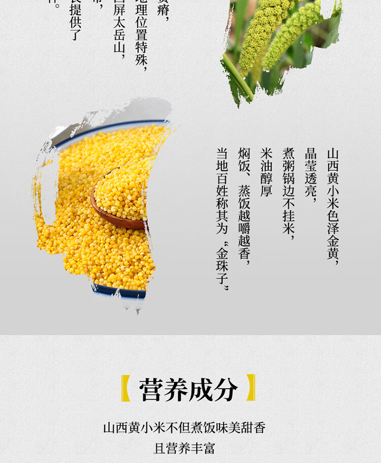 十月稻田 小米粥 五谷杂粮 米饭伴侣 山西黄小米2.5kg