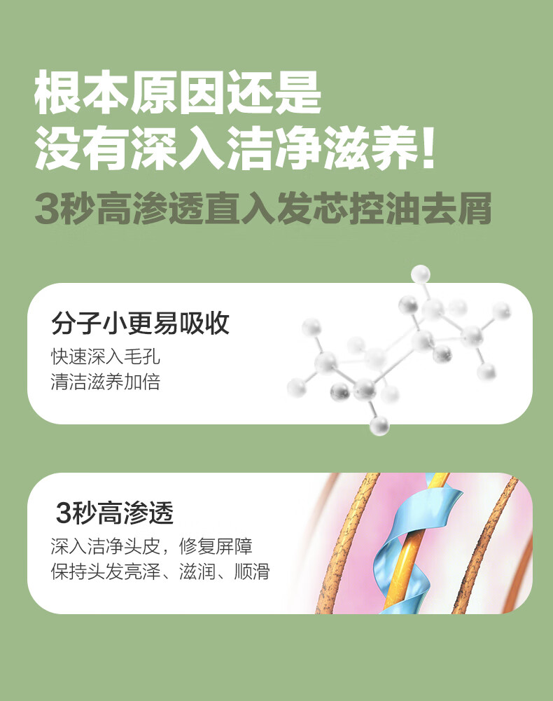 柏缇 北非雪松留香 清爽控油男女通用 丰盈蓬松洗发露450ml