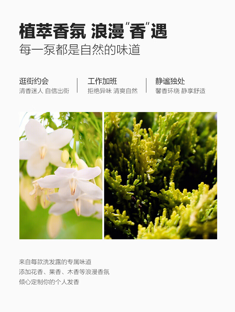柏缇 北非雪松留香 清爽控油男女通用 丰盈蓬松洗发露450ml