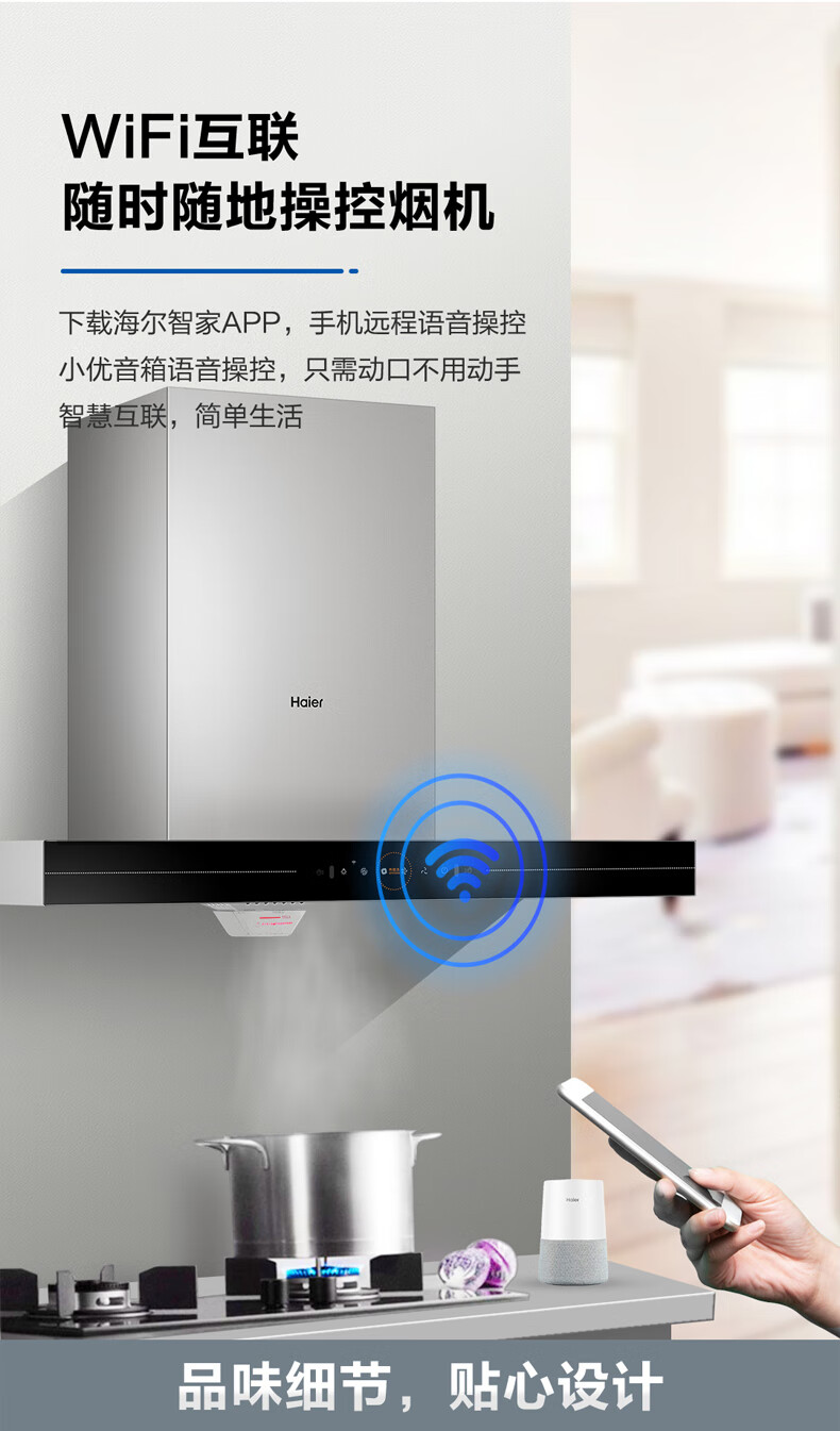海尔（Haier）挥手智控自清洁免拆洗21立方大吸力欧式APP智能抽油烟机热熔洗吸油烟机CXW-219-ET901U1