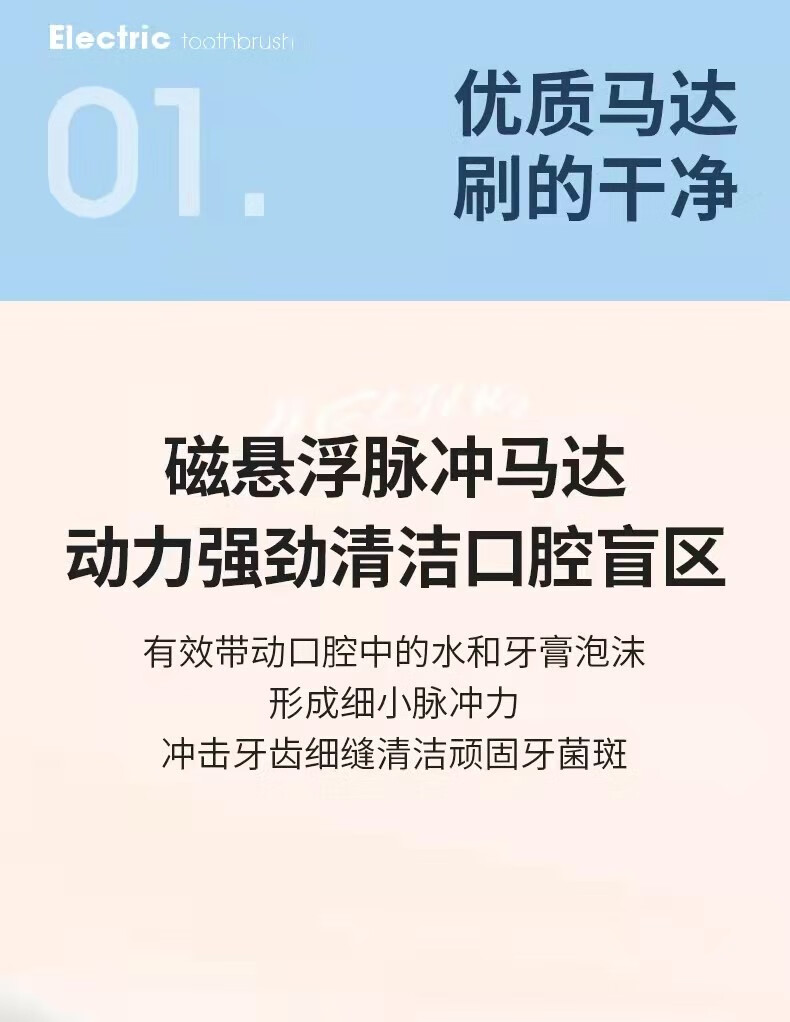 美菱 电动牙刷全自动成人男女充电式超声波软毛刷磁悬浮 CH902A 白色